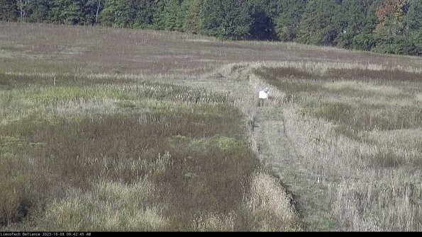 Cell 1 to 2_23-10-08_09-42-46-00