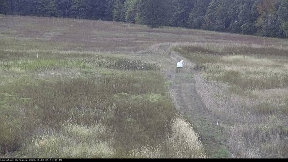 Cell 1 to 2_23-10-08_17-31-37-99