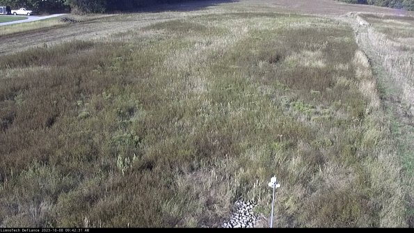 Cell 1_23-10-08_09-42-31-99