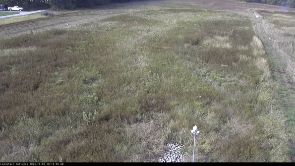 Cell 1_23-10-08_10-16-01-00