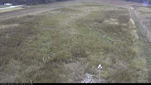 Cell 1_23-10-08_15-17-27-97