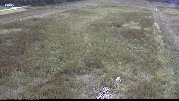 Cell 1_23-10-08_16-57-54-99