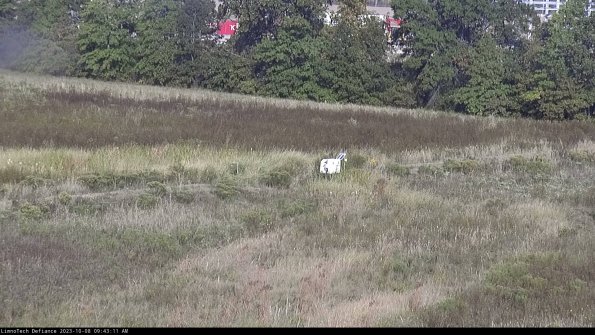 Cell 2 to 3_23-10-08_09-43-12-06