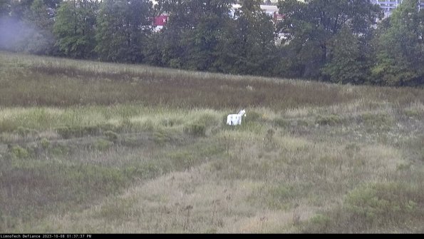 Cell 2 to 3_23-10-08_13-37-38-09