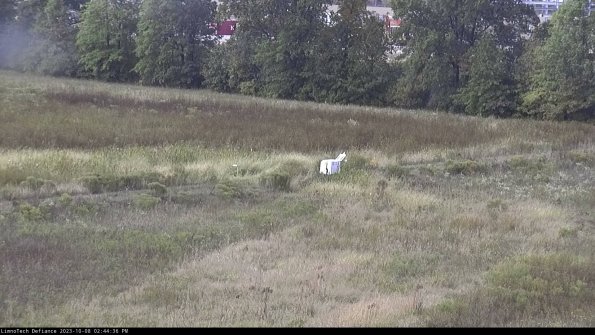 Cell 2 to 3_23-10-08_14-44-37-16