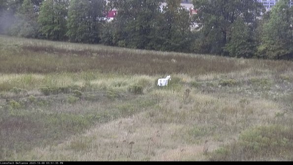 Cell 2 to 3_23-10-08_15-51-36-13