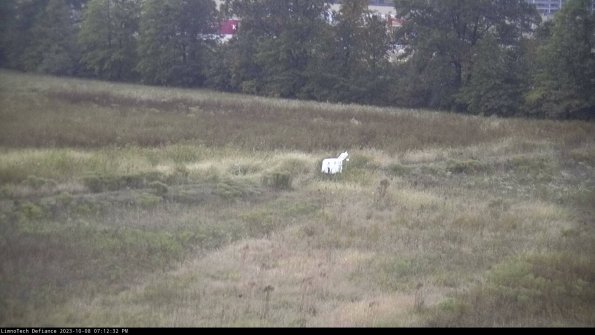 Cell 2 to 3_23-10-08_19-12-33-07