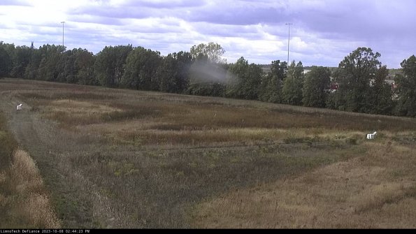 Cell 2_23-10-08_14-44-24-01