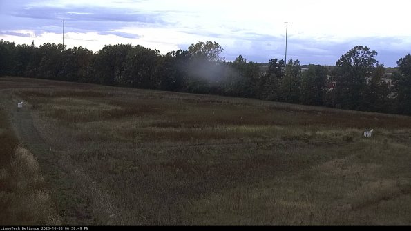 Cell 2_23-10-08_18-38-50-01