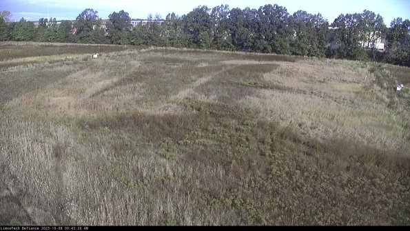 Cell 3_23-10-08_09-43-27-01