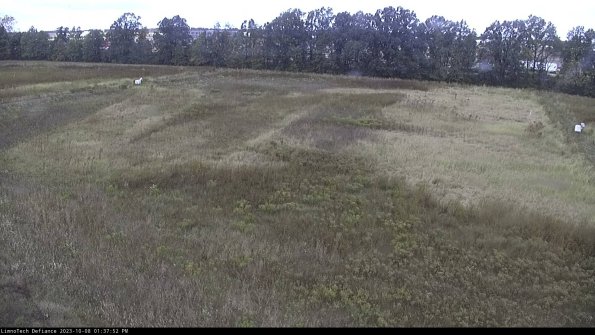 Cell 3_23-10-08_13-37-53-00