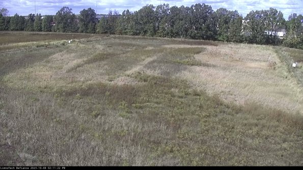 Cell 3_23-10-08_14-11-22-99