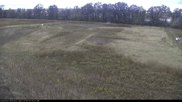 Cell 3_23-10-08_15-18-22-20