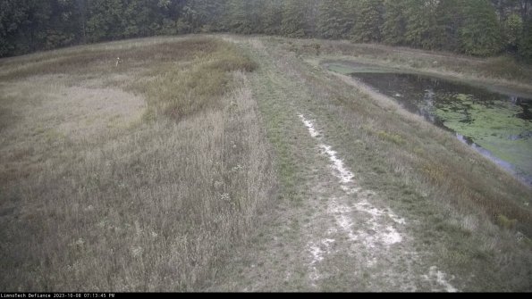 Cell 4 to Basin_23-10-08_19-13-46-01