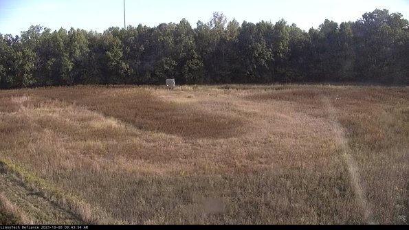 Cell 4_23-10-08_09-43-55-00