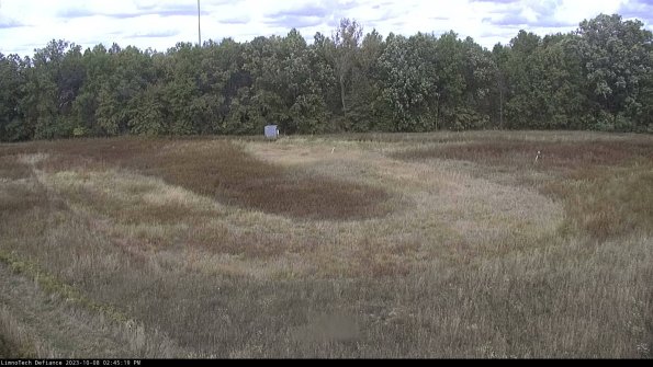 Cell 4_23-10-08_14-45-20-00