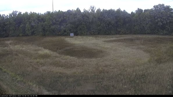 Cell 4_23-10-08_15-18-49-99