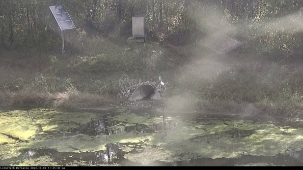 Basin Inflow_23-10-09_11-25-44-00