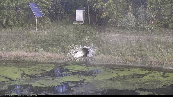 Basin Inflow_23-10-09_18-07-36-99