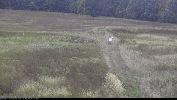 Cell 1 to 2_23-10-09_09-43-09-98