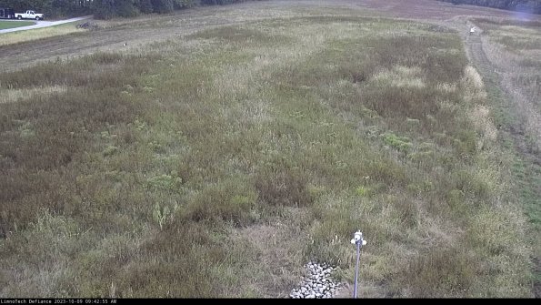 Cell 1_23-10-09_09-42-56-00