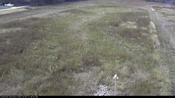 Cell 1_23-10-09_11-56-53-97