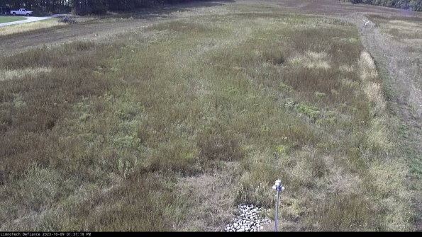 Cell 1_23-10-09_13-37-20-00