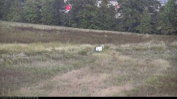 Cell 2 to 3_23-10-09_08-03-09-16