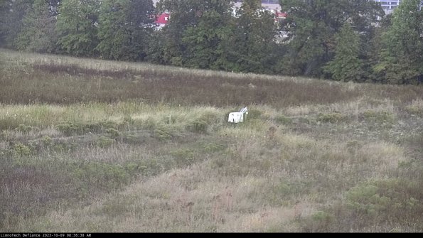 Cell 2 to 3_23-10-09_08-36-39-08