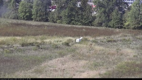 Cell 2 to 3_23-10-09_14-11-30-12