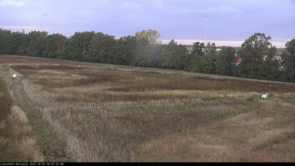 Cell 2_23-10-09_08-02-56-05