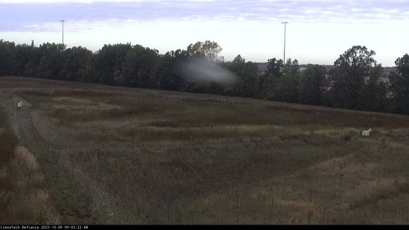 Cell 2_23-10-09_09-43-23-06