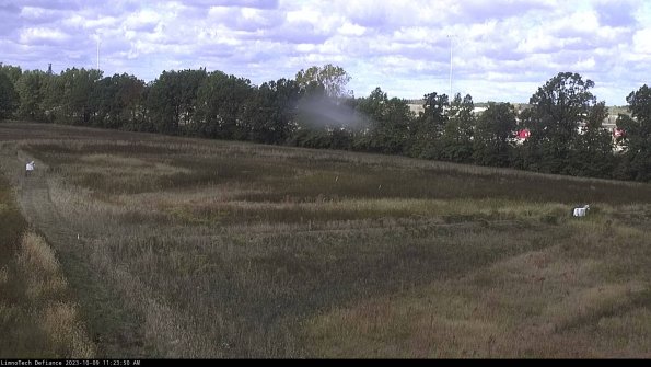 Cell 2_23-10-09_11-23-51-08