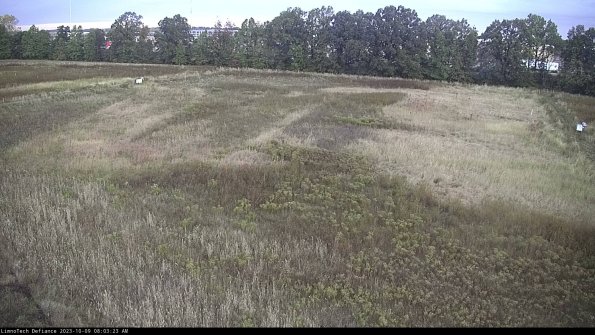 Cell 3_23-10-09_08-03-24-01