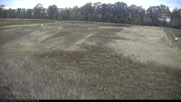 Cell 3_23-10-09_08-36-53-23