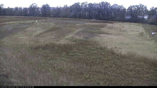 Cell 3_23-10-09_09-43-50-99