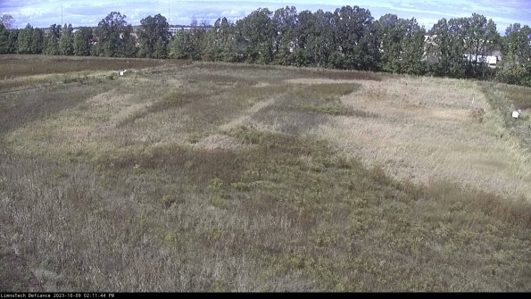 Cell 3_23-10-09_14-11-45-00