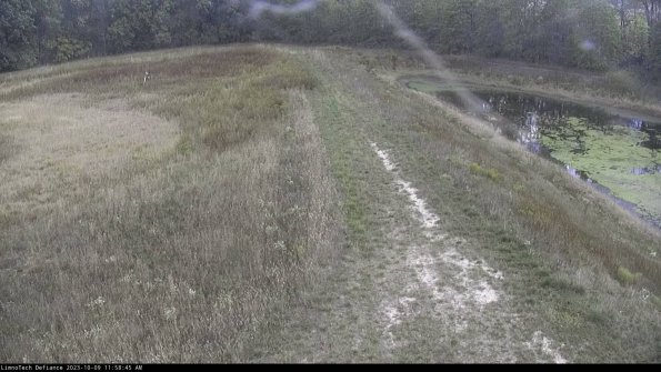 Cell 4 to Basin_23-10-09_11-58-45-99