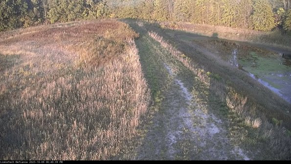 Cell 4 to Basin_23-10-09_18-40-40-01