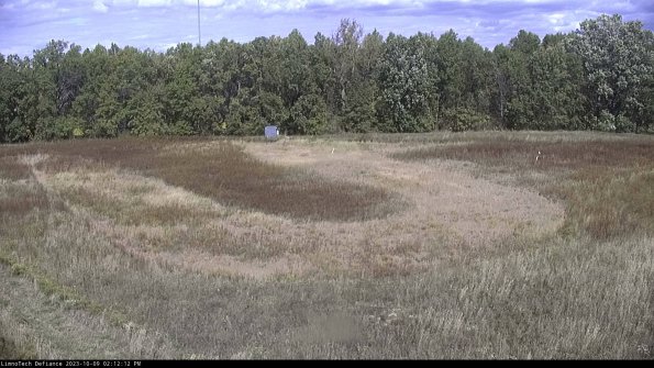 Cell 4_23-10-09_14-12-13-00