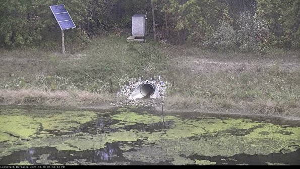 Basin Inflow_23-10-10_17-34-35-19