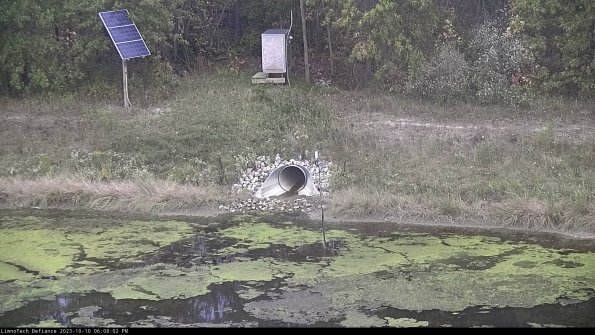 Basin Inflow_23-10-10_18-08-03-11