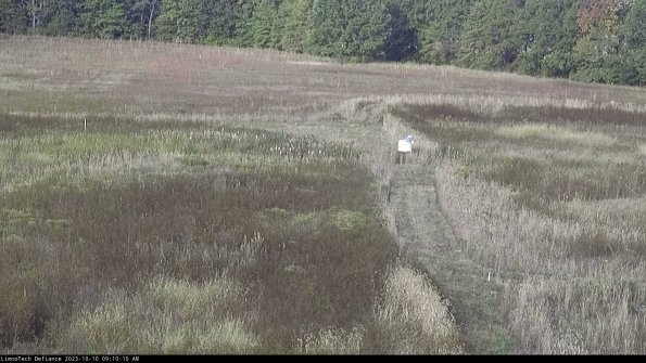 Cell 1 to 2_23-10-10_09-10-10-99