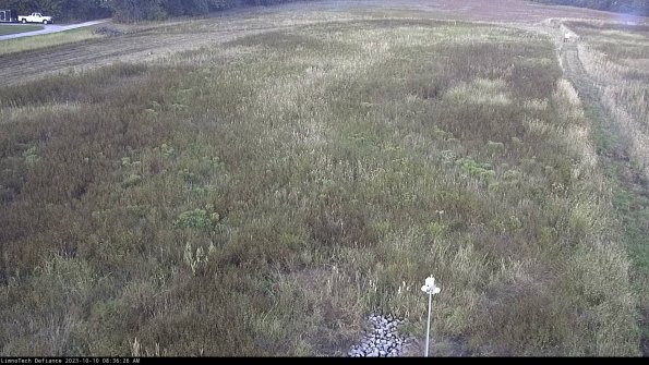 Cell 1_23-10-10_08-36-26-99