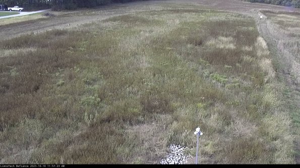 Cell 1_23-10-10_11-57-23-99