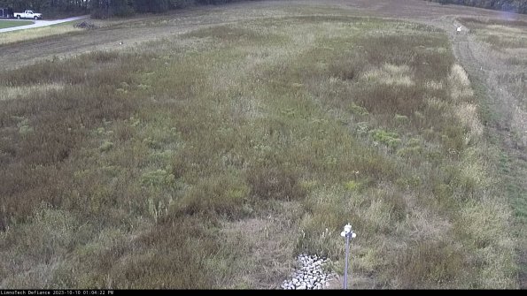 Cell 1_23-10-10_13-04-22-97