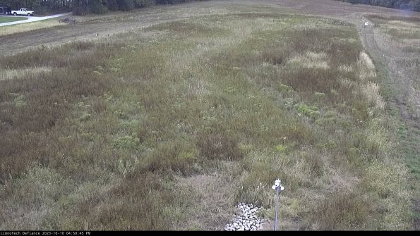 Cell 1_23-10-10_16-58-46-00