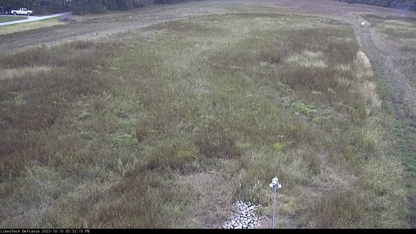 Cell 1_23-10-10_17-32-15-98