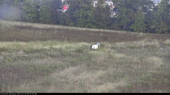 Cell 2 to 3_23-10-10_08-37-07-19