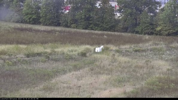 Cell 2 to 3_23-10-10_13-05-03-08